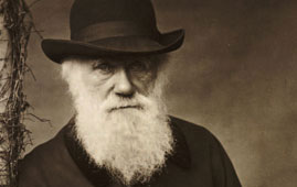 Darwin
